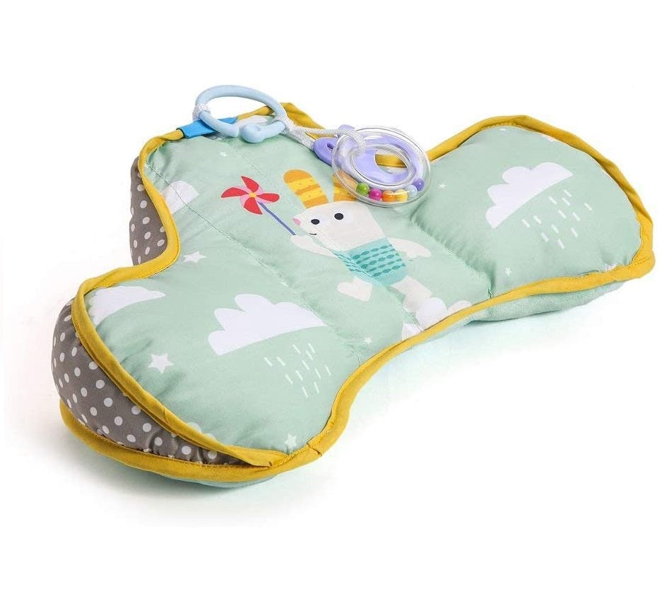 Developmental Pillow