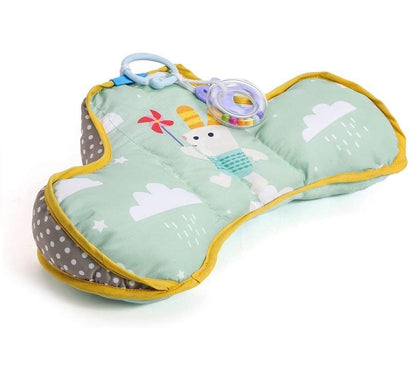 Developmental Pillow