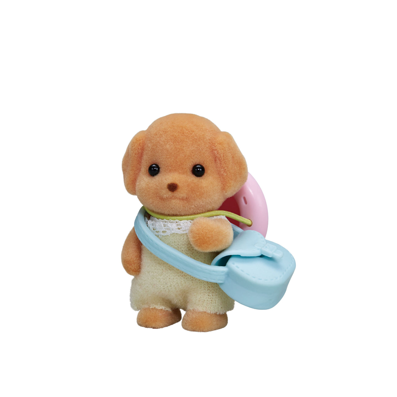 Toy Poodle Baby