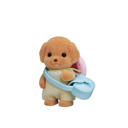 Toy Poodle Baby