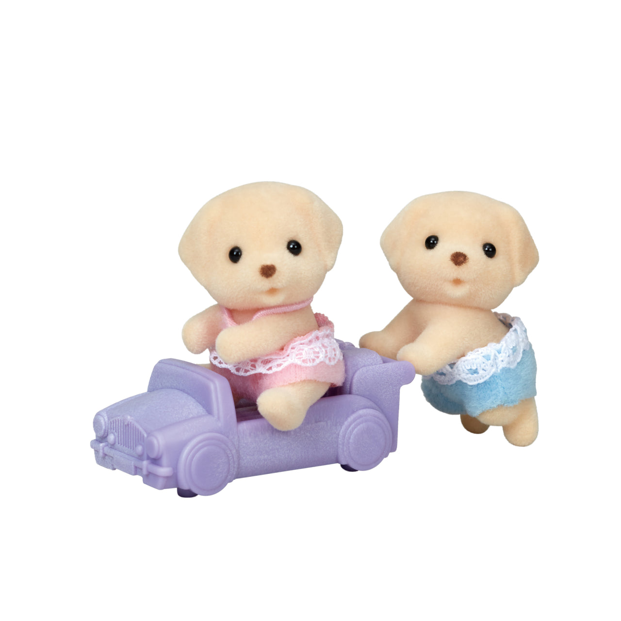 Yellow Labrador Twins