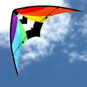Stuntmaster Dual Control Kite