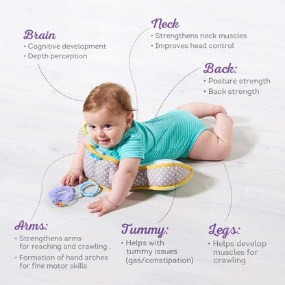 Developmental Pillow