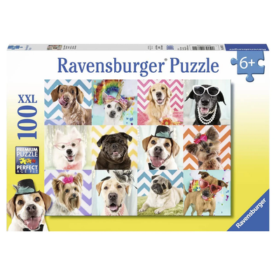 100 pc Puzzle - Doggy disguise