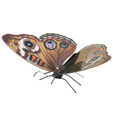 Metal Earth Model Kit - Buckeye Butterfly