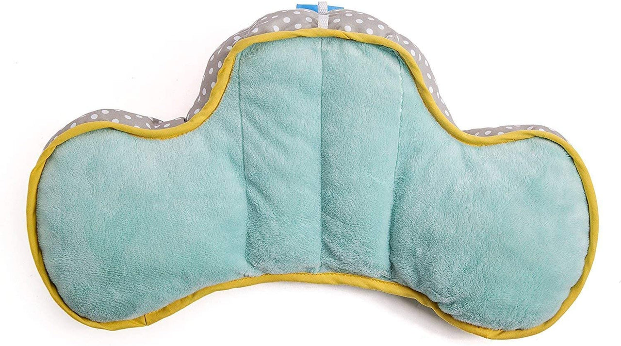 Developmental Pillow