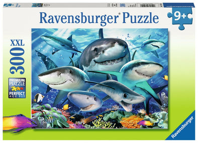 300 pc Puzzle - Smiling Sharks