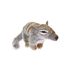 Sherbet Numbat