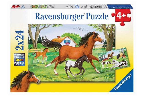 2 x 24 pc Puzzle - World of Horses