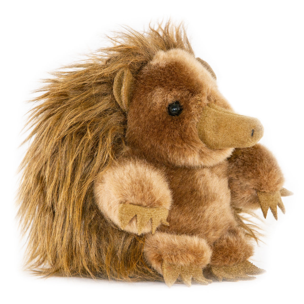 Echidna Plush - Pickles