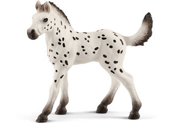 Knabstrupper Foal