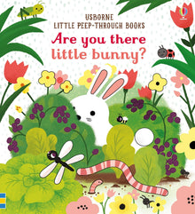 Are You There Little Bunny? Peep-Through Book