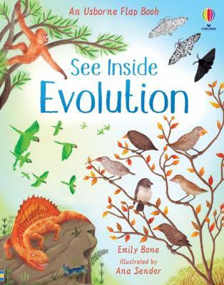 Usborne Flap Book - See Inside Evolution