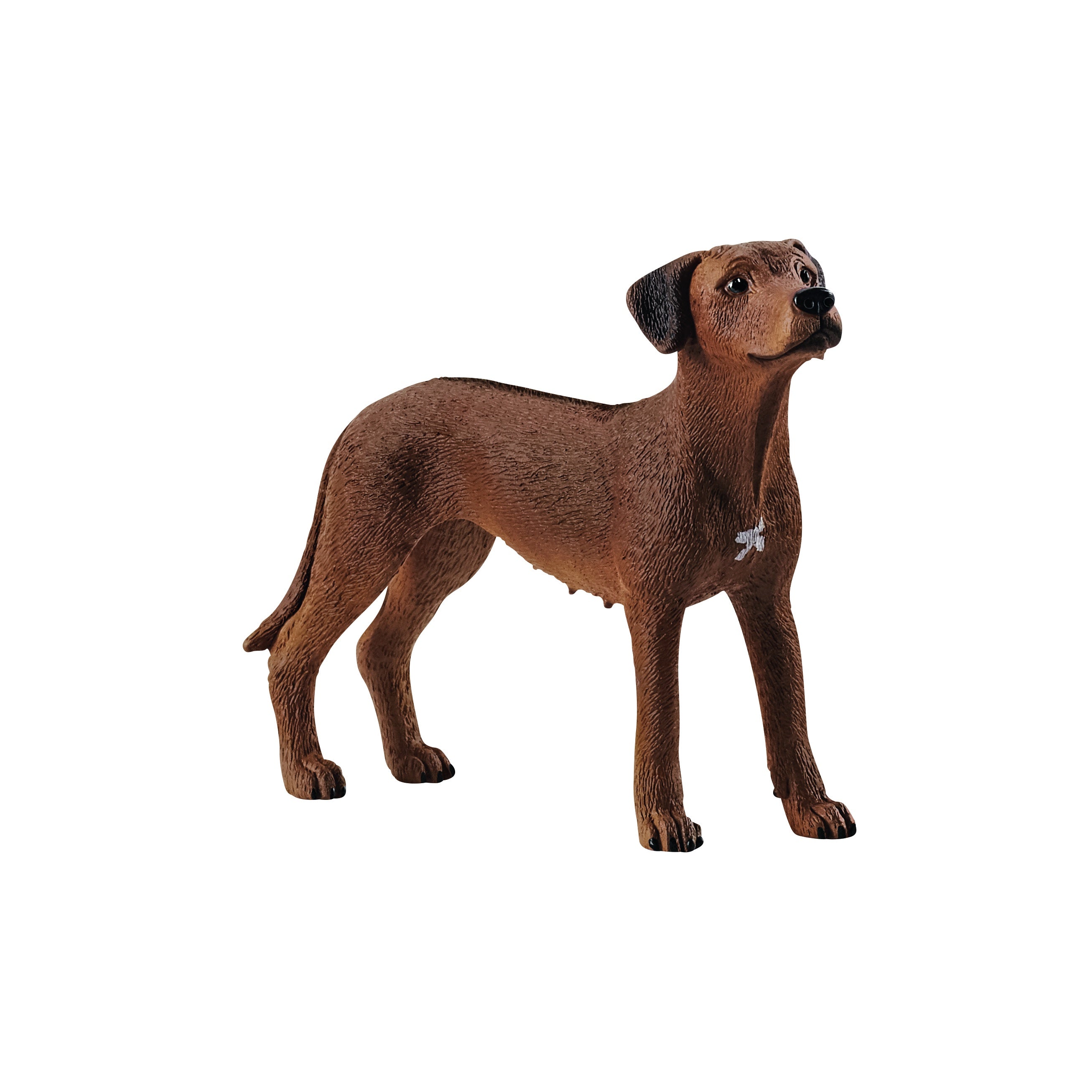 Rhodesian Ridgeback Tale Rhodesian Ridgeback – Toys and Tales