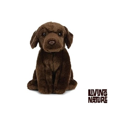 Chocolate Labrador 20cm