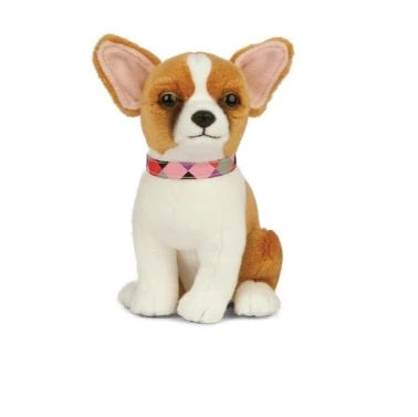 Chihuahua 20cm
