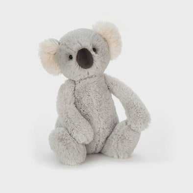Bashful Koala - Small