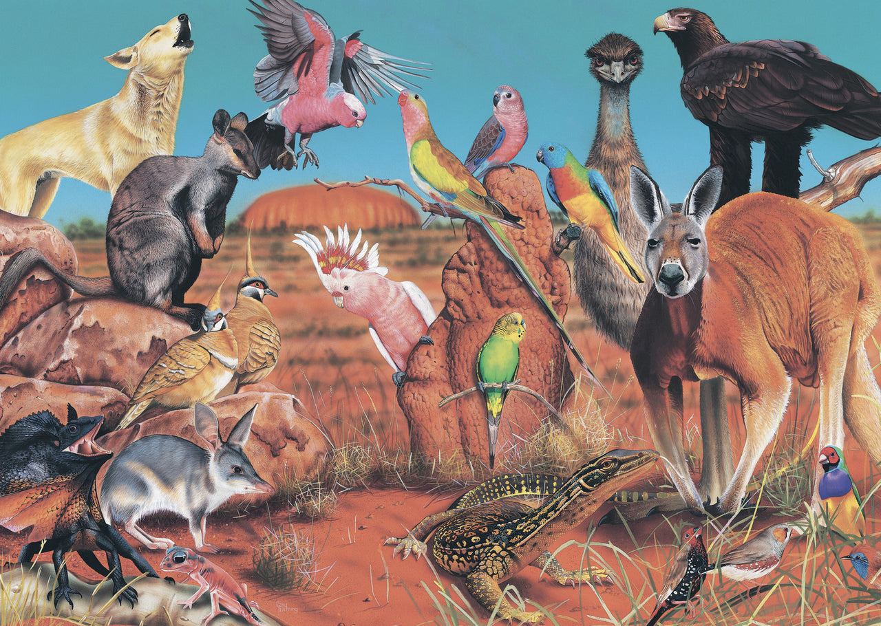 1000 pc Puzzle - The Outback