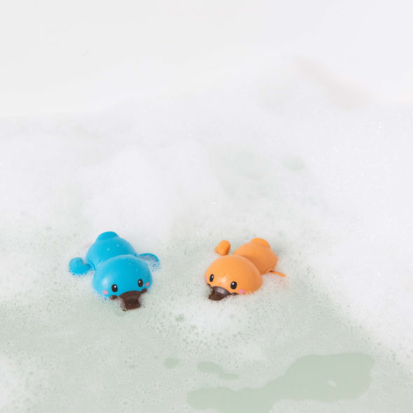 Bath Racers - Platypus