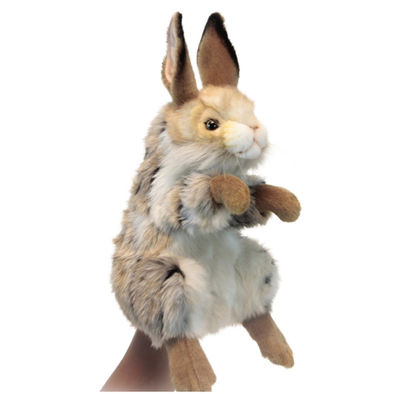 Hansa Rabbit