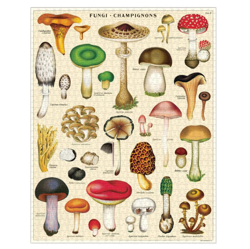 1000 pc Vintage Puzzle - Mushrooms