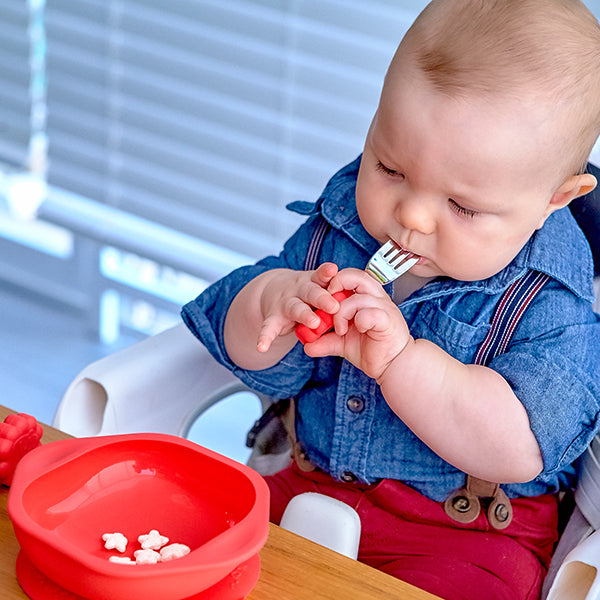 Toddler Mealtime Set