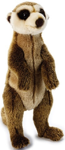 Meerkat (35cm)