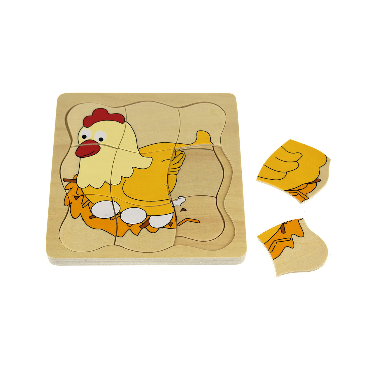 Lifecycle 4 Layer Puzzle