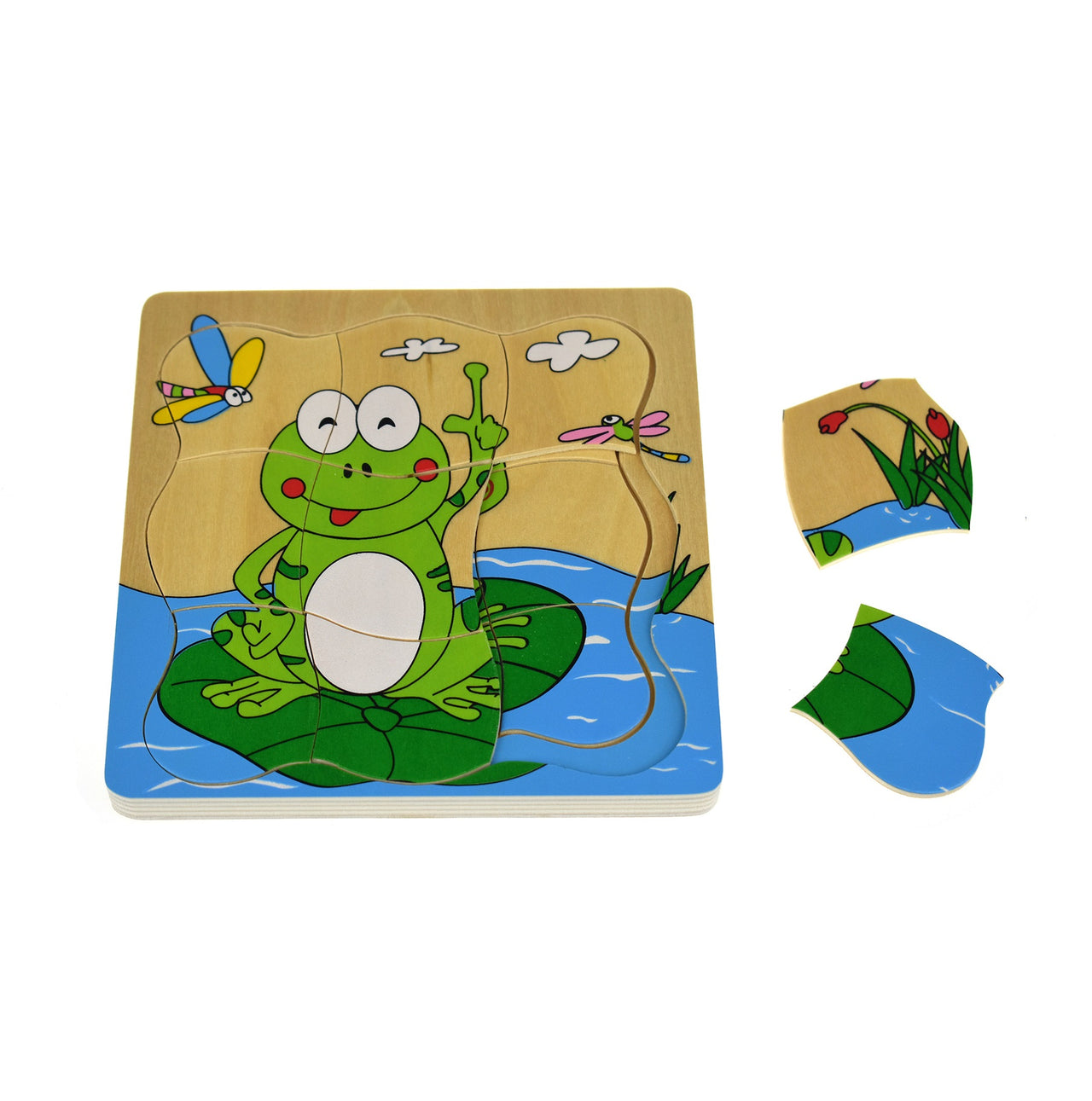 Lifecycle 4 Layer Puzzle