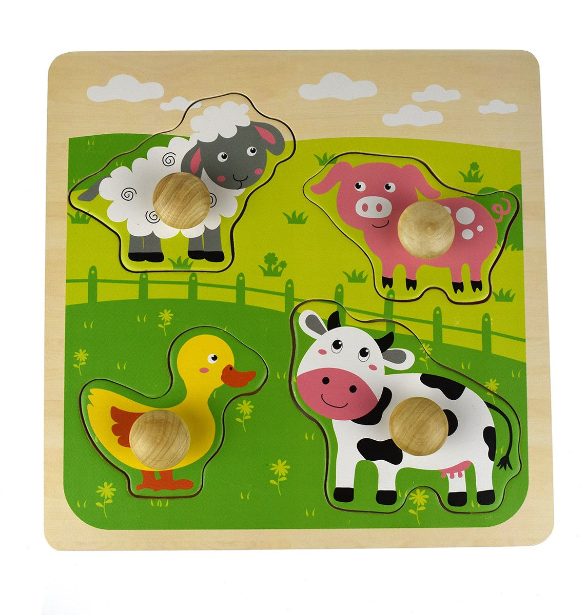 Large Peg Puzzle - assorted