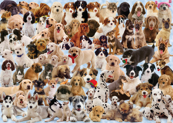 1000 pc Puzzle - Dogs Galore!
