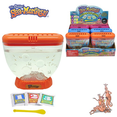 Ocean Volcano Sea-Monkey