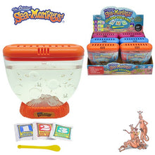 Ocean Volcano Sea-Monkey