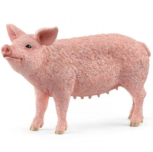 Pig v2