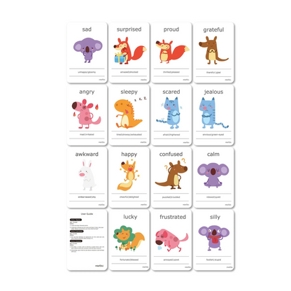 Cognitive Flash Cards - Feelings and Emotions