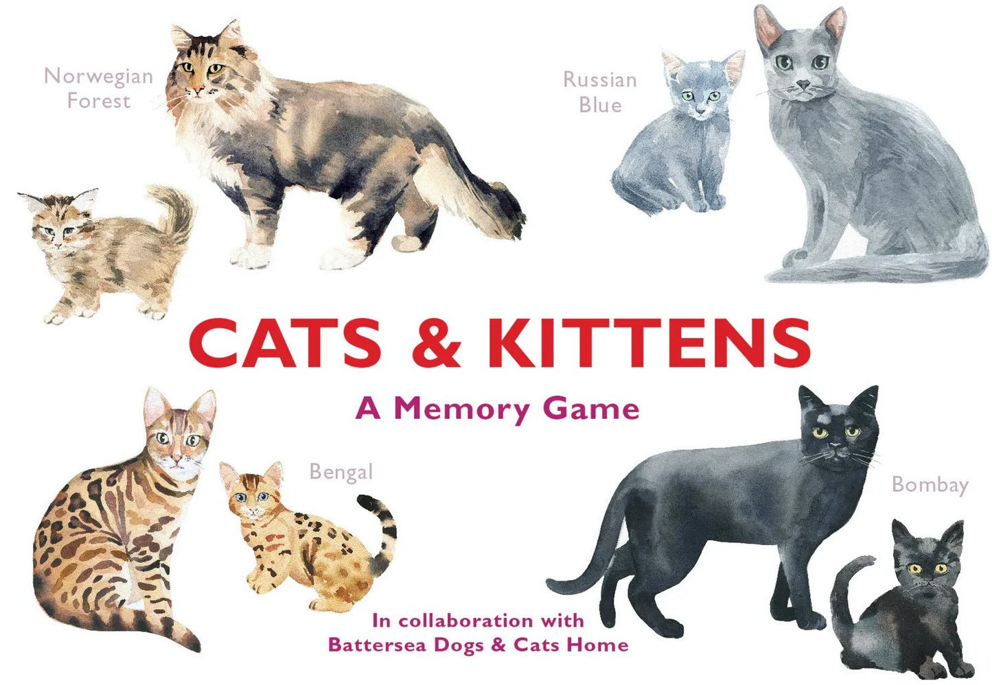 Cats and Kittens