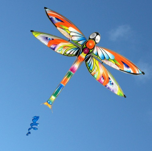 Dragonfly Single String Kite