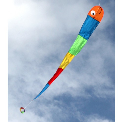 Wilma the Worm Kite