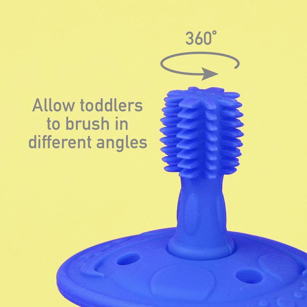 Self Training Toothbrush