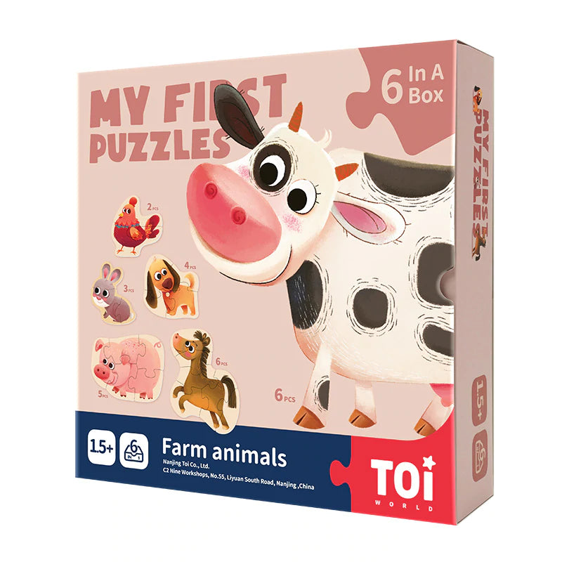 My First Puzzles  -  6 In A Box