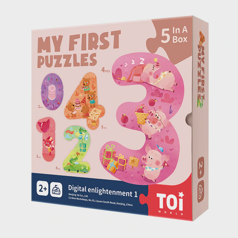 My First Puzzles  -  5 In A Box