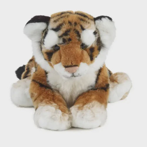 Tiger Cub Living Nature