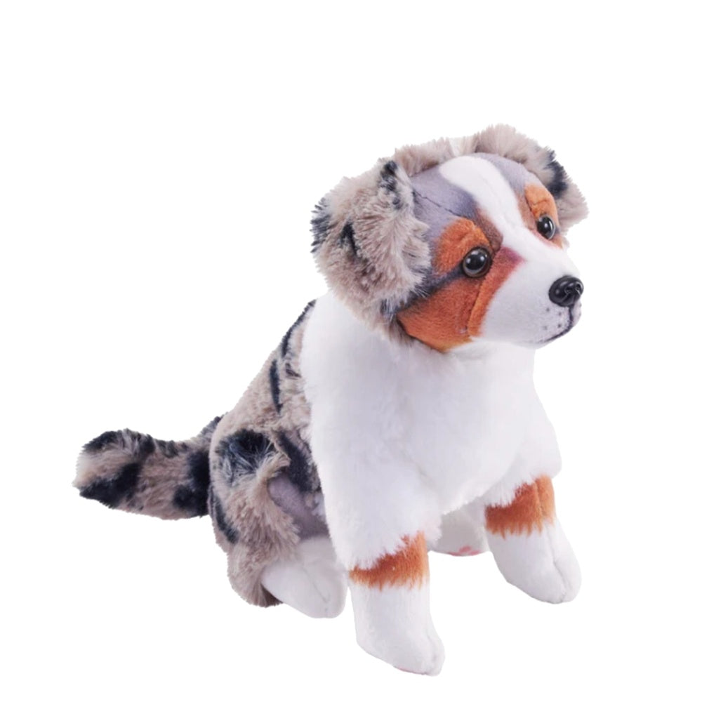Rescue Dogs Australian Shepherd With Sound