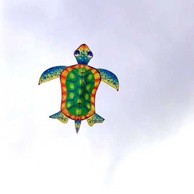 Turtle Kite