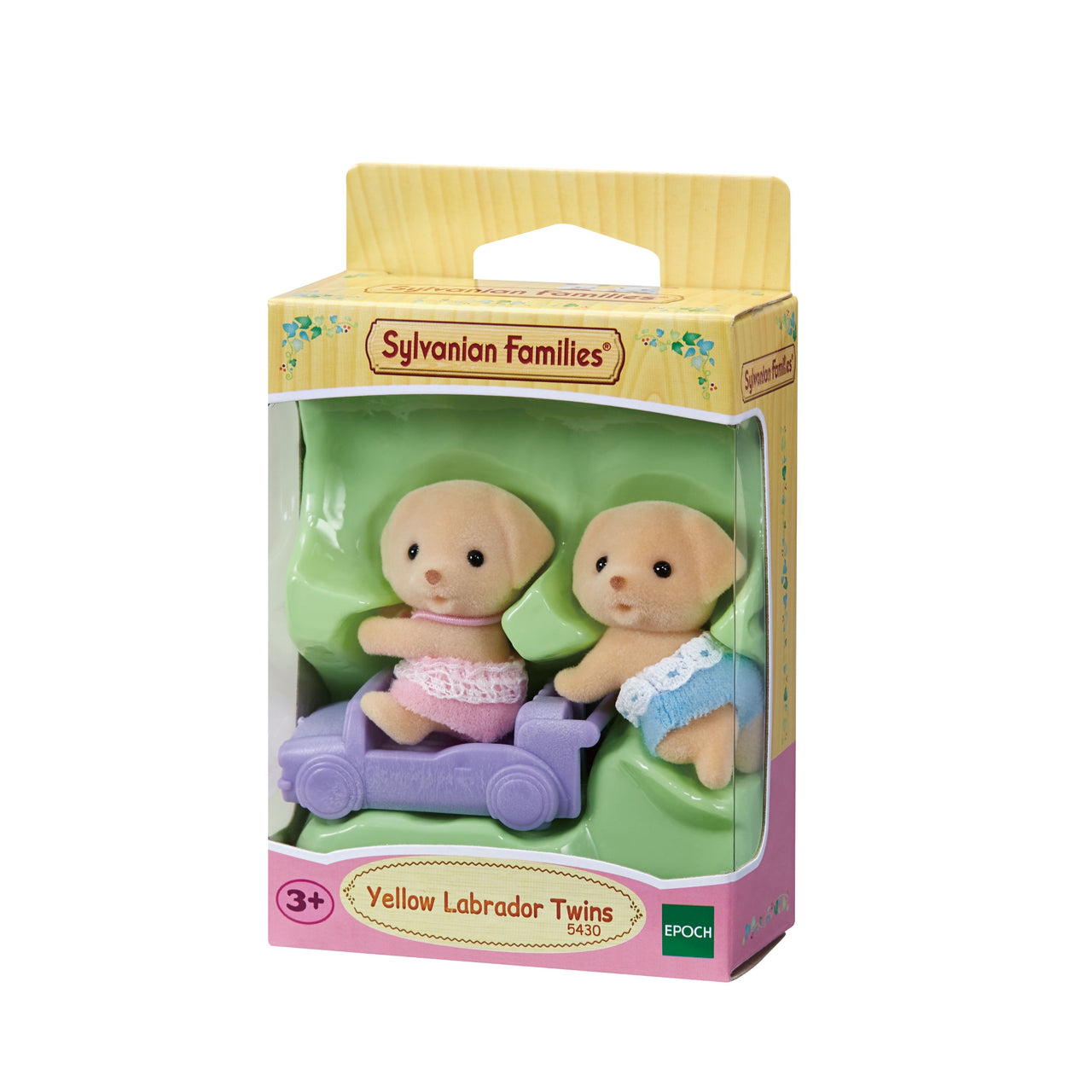 Yellow Labrador Twins