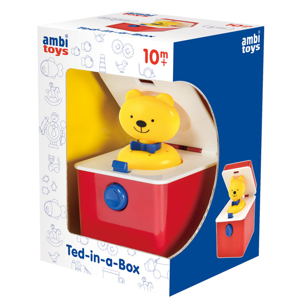 Ted-in-a-Box