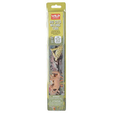 Big Cats Nature Tube