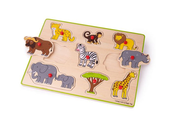 Lift out peg puzzle - assorted