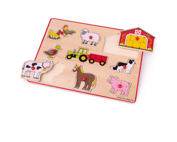 Lift out peg puzzle - assorted