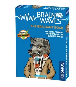 Brain Waves